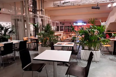 Théâtre National Wallonie-Bruxelles