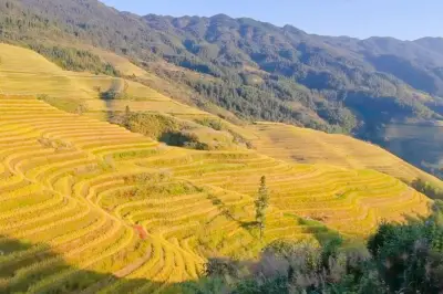 西山韶乐观景点
