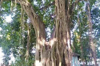 El Manzanillo Park