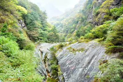 Zhuque National Forest Park