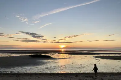 周末的光合作用-打卡波士顿附近的海湾与水景