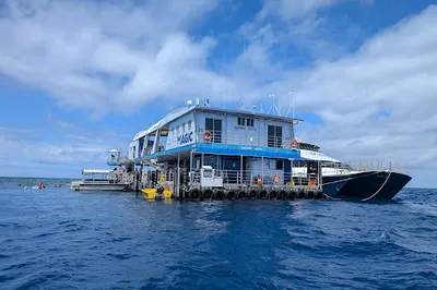 Reef Magic Pontoon