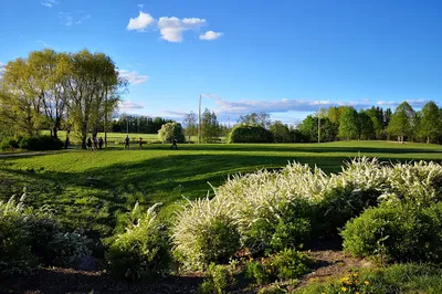 Siltamäki Disc Golf Park