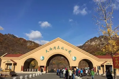 天桥沟景区-莲花峰景区