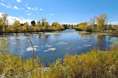 Parkfield Lake Park