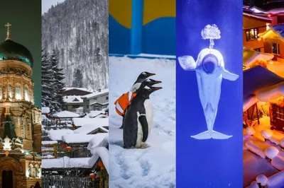 A Winter Journey to Harbin: Enter the Pure White Northern World