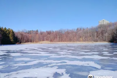 Sunnybrook Park