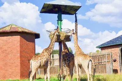 Johannesburg Zoo