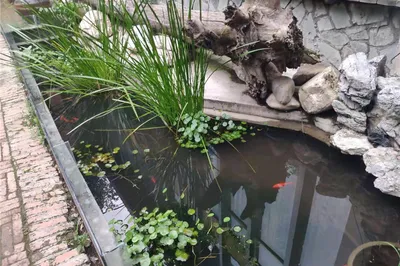 西郊山林休閒養生度假公園