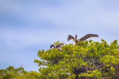 Keoladeo National Park