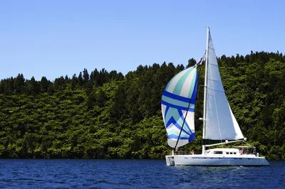 Pure Cruise - Day Cruises