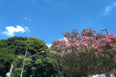 Parque São Domingos