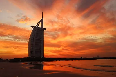 Journey to the Middle East UAE: A True Money-Worshipping (and Money-Burning) Trip