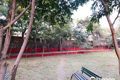 Bindra park