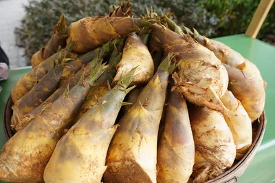 Delicious, Beautiful, and Even More Fun! This Hot Summer, Gutian, Fujian is Really Popping