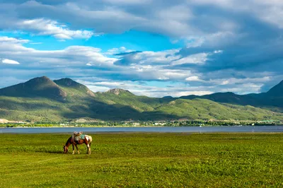 Lashi Lake Horse Riding