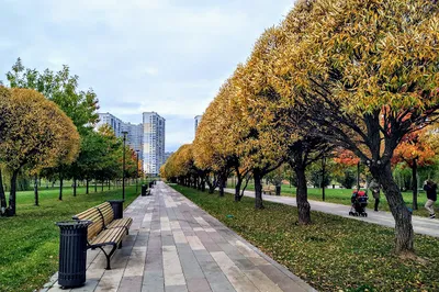 Park S Prudom