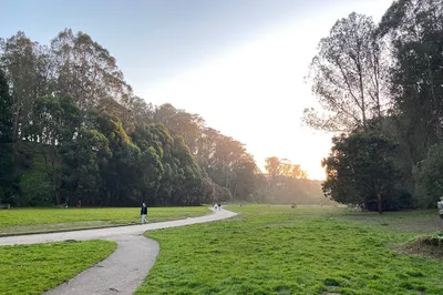 Dog Park | Pine Lake Park