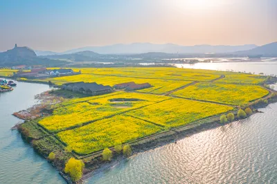 蘇州太湖國家溼地公園