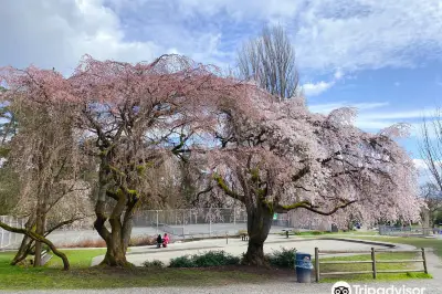 拉文納公園