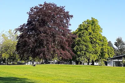 Slocan Park