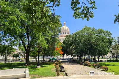 Parque de la Fraternidad