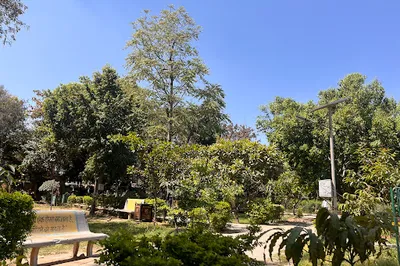 Nursery Circle Park
