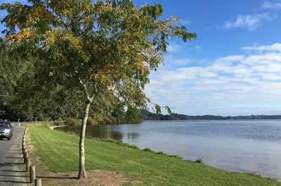 Rotoma Holiday Park