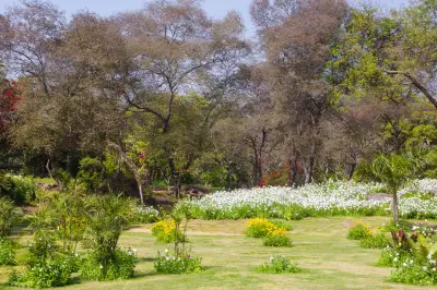 Buddha Jayanti Park
