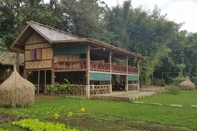 The Bamboo Experience