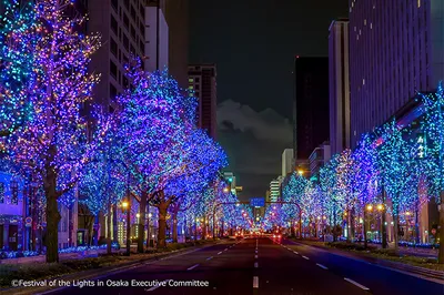 Osaka's Stunning Winter Attractions! Dazzling Light Shows and Christmas Trees
