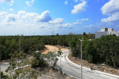 Cedro Park