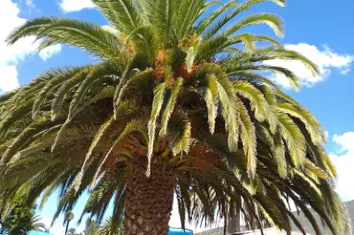 Centro Recreacional Granilandia
