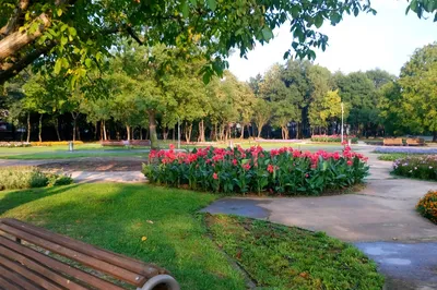North Park