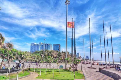 Flagpole Park