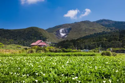 Bamboo Lake