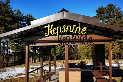 Pavilnys Regional Park Viewpoint