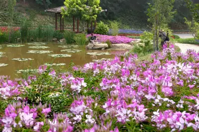 雲遊四海（1578）大連英歌石植物園