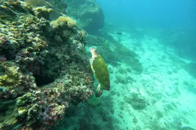 MolaMola Diving Center (Al Mouj) - Best Snorkeling & Scuba Diving Center in Muscat, Oman