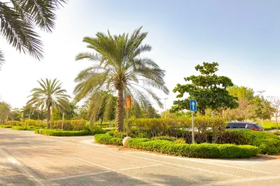 Yas Gateway Park - South