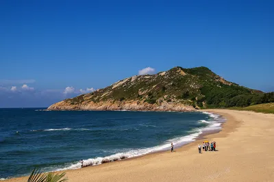 海龜灣