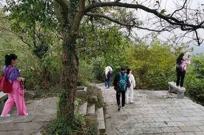 A One-Day Trip to Jingting Mountain