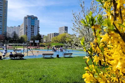 Bródnowski Park