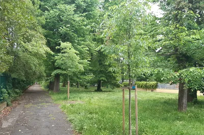 Giardini di Bellariva