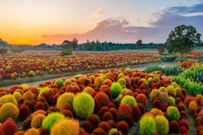 Huakai Haishang Ecological Park