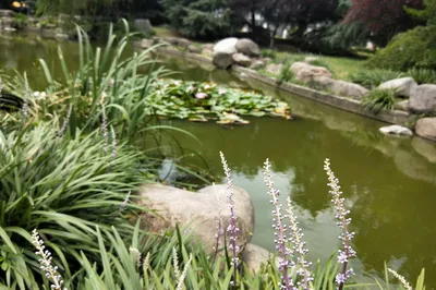 Phoenix Garden, Three Loyalty Garden by the Phoenix River