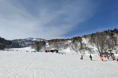 北海道--小樽、札幌--雪的世界、甜品的天堂