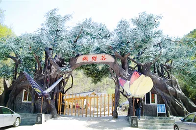 栾川蝴蝶谷景区