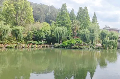 Fengzeyuan Botanical Garden