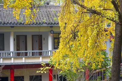 2020年8月最新成都旅遊攻略、美食推薦、成都住宿推薦--成都西姆善居酒店（陝西街店）
